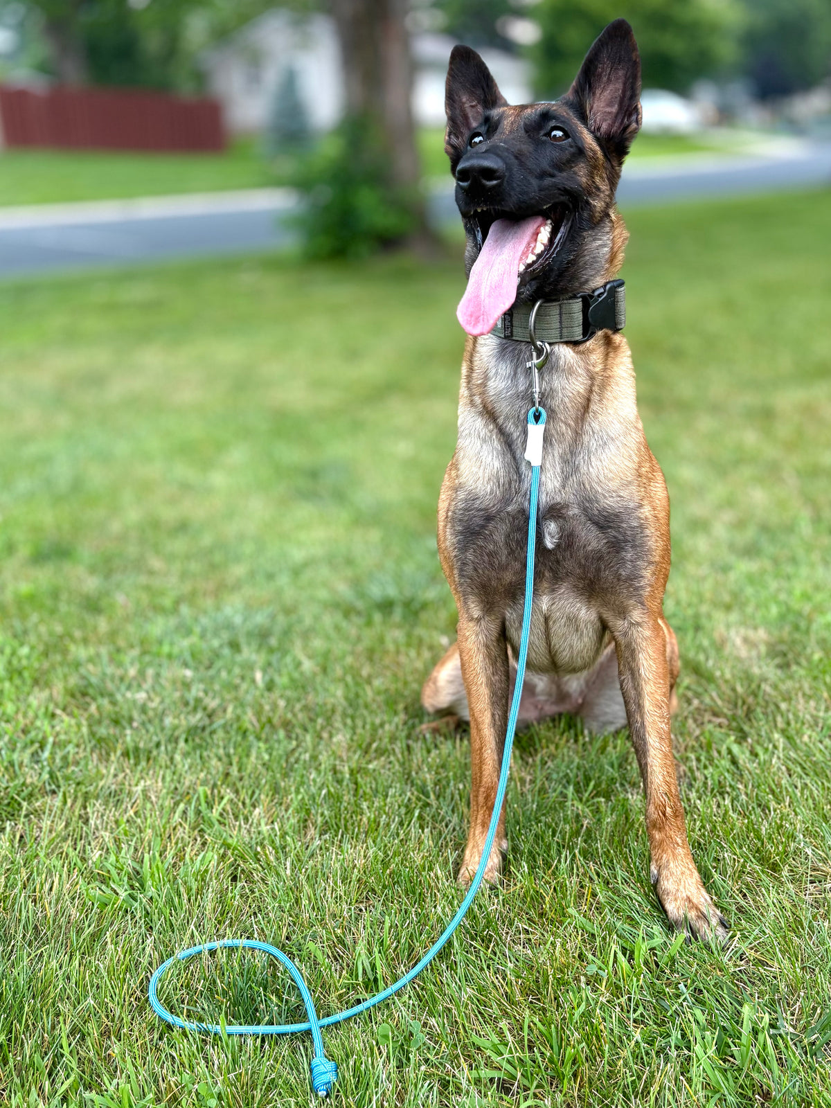 OB Leash