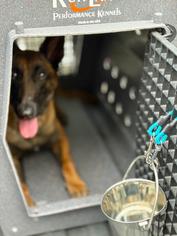Kennel Bucket Holder / Coupler